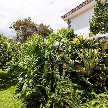 Prime San Nicolas * Puerto de la Cruz (Tenerife)