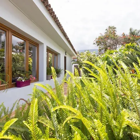 Prime San Nicolas Holiday home Puerto de la Cruz (Tenerife)